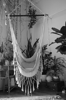 A softly lit room with a hammock chair, surrounded by books and potted plants for a peaceful vibe.