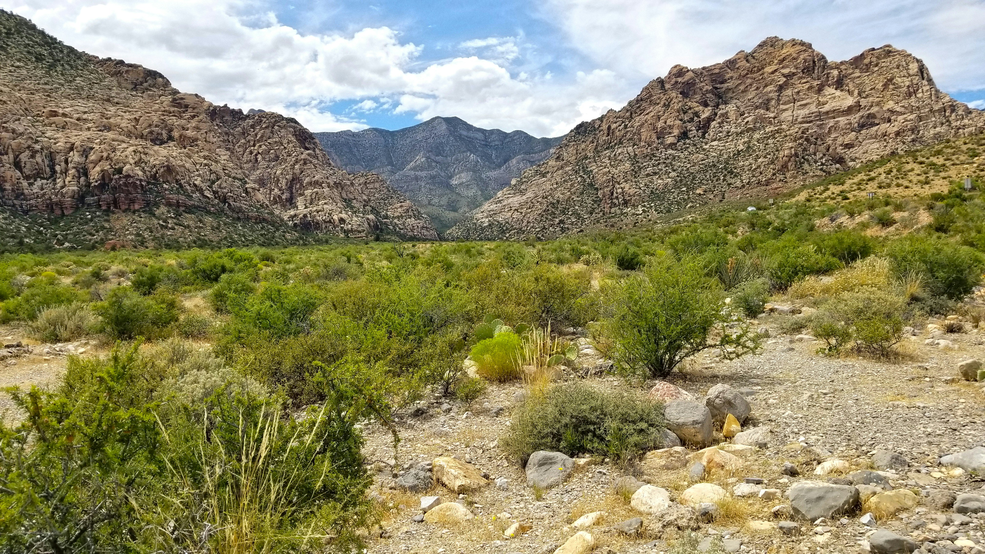 a rocky area with mountains in the background