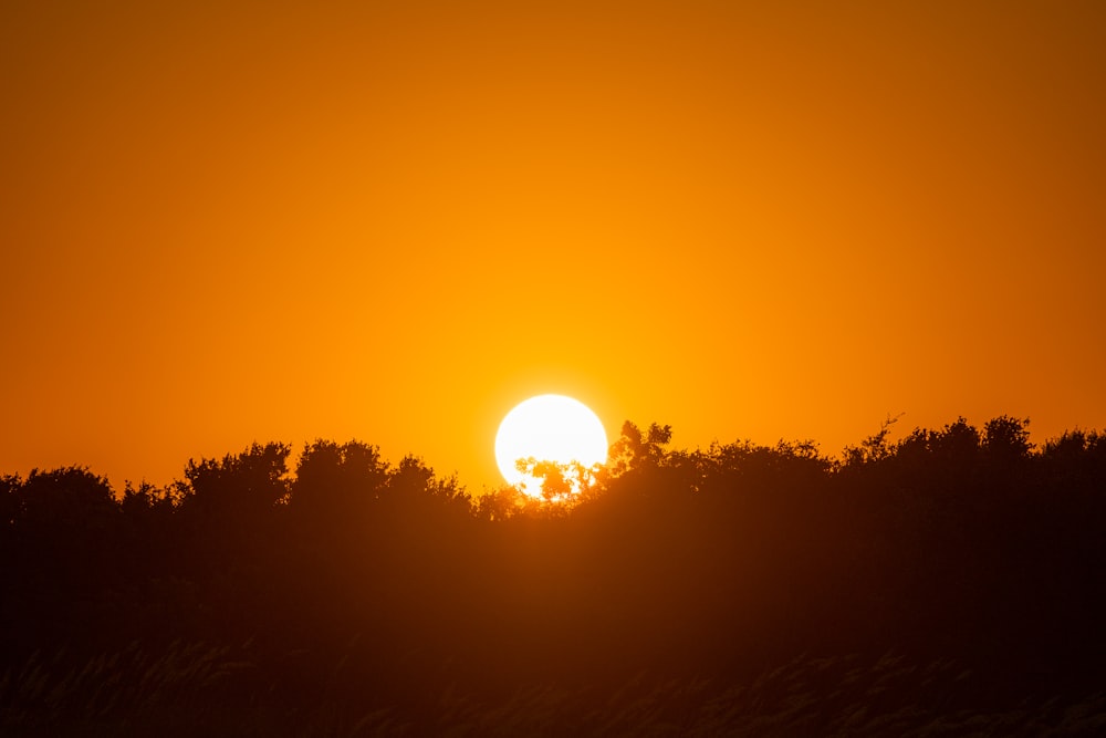 a sunset over trees