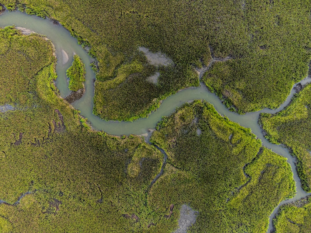 Aerial view of a river delta splitting into dozens of branches, like one search query fanning out into many