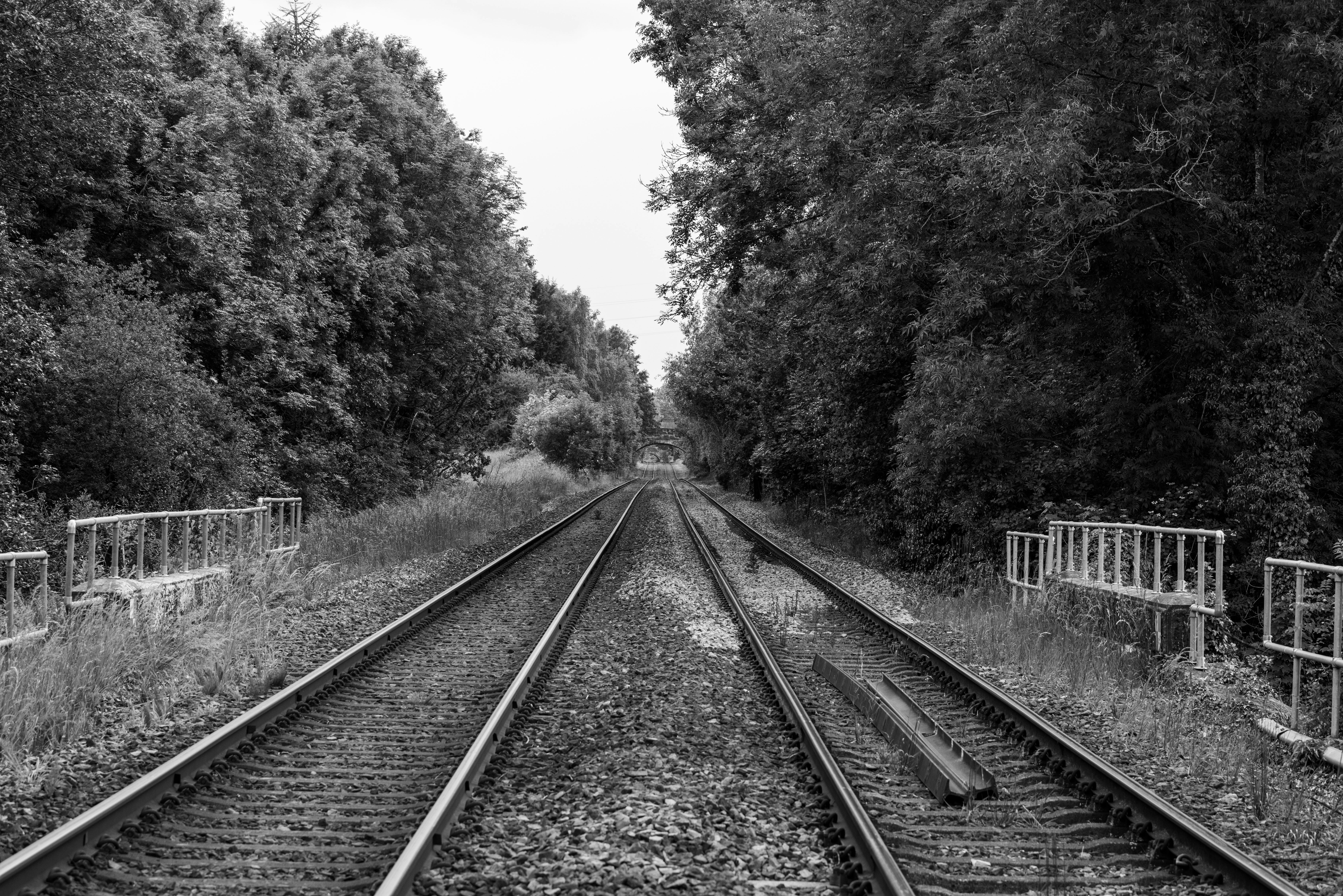 a railroad track with trees on the side