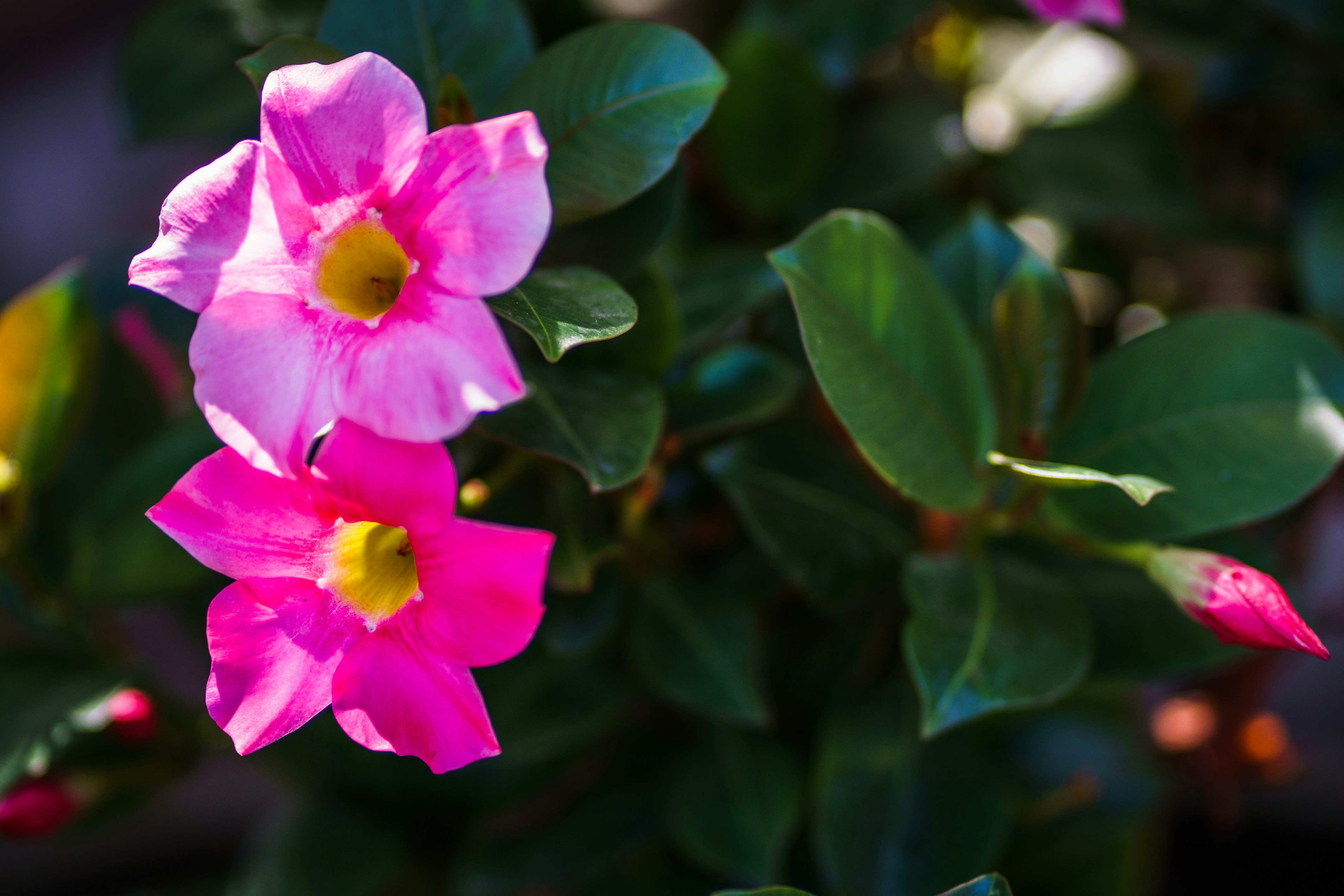 Photo by earl_plannerzone