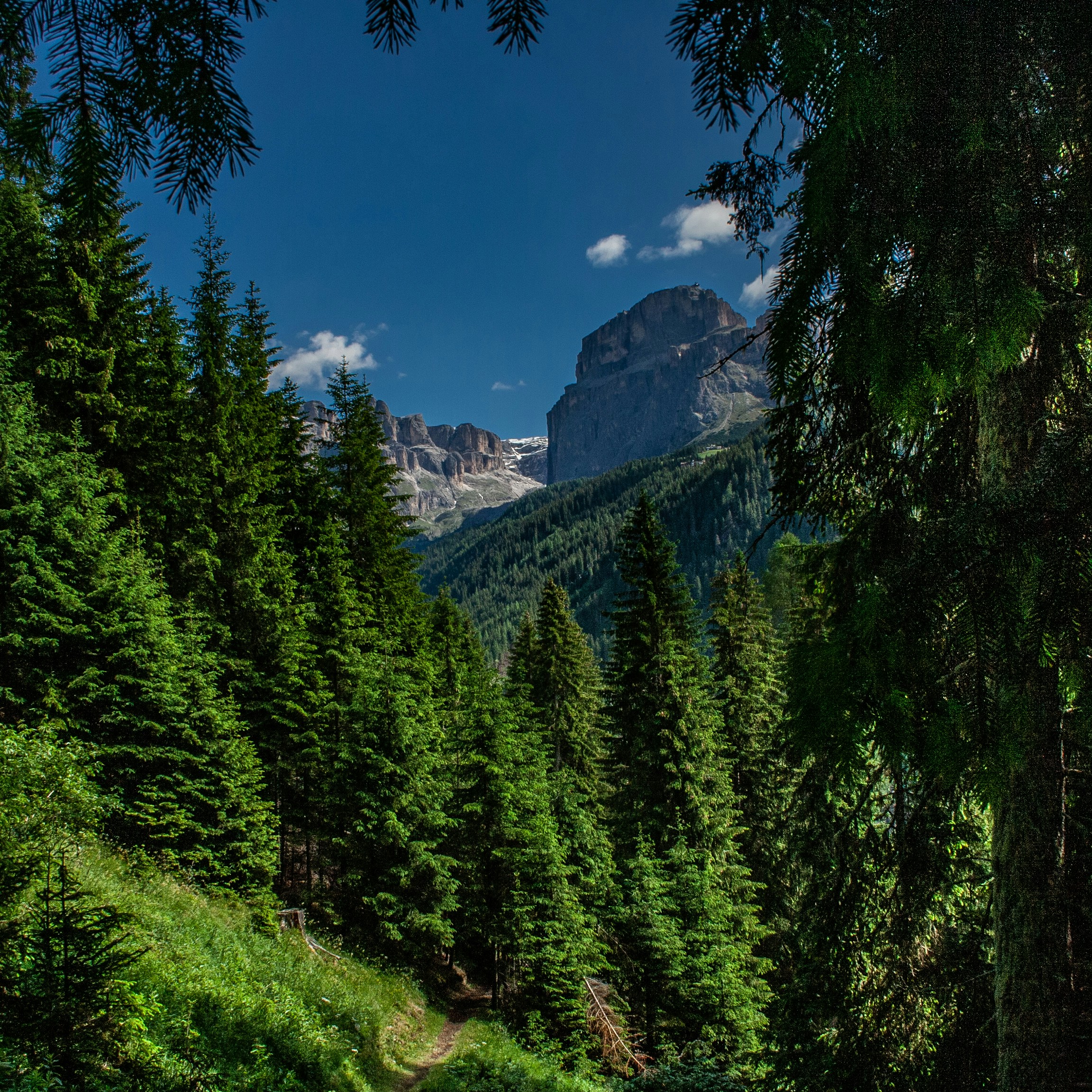 Photo by manuelpisani00