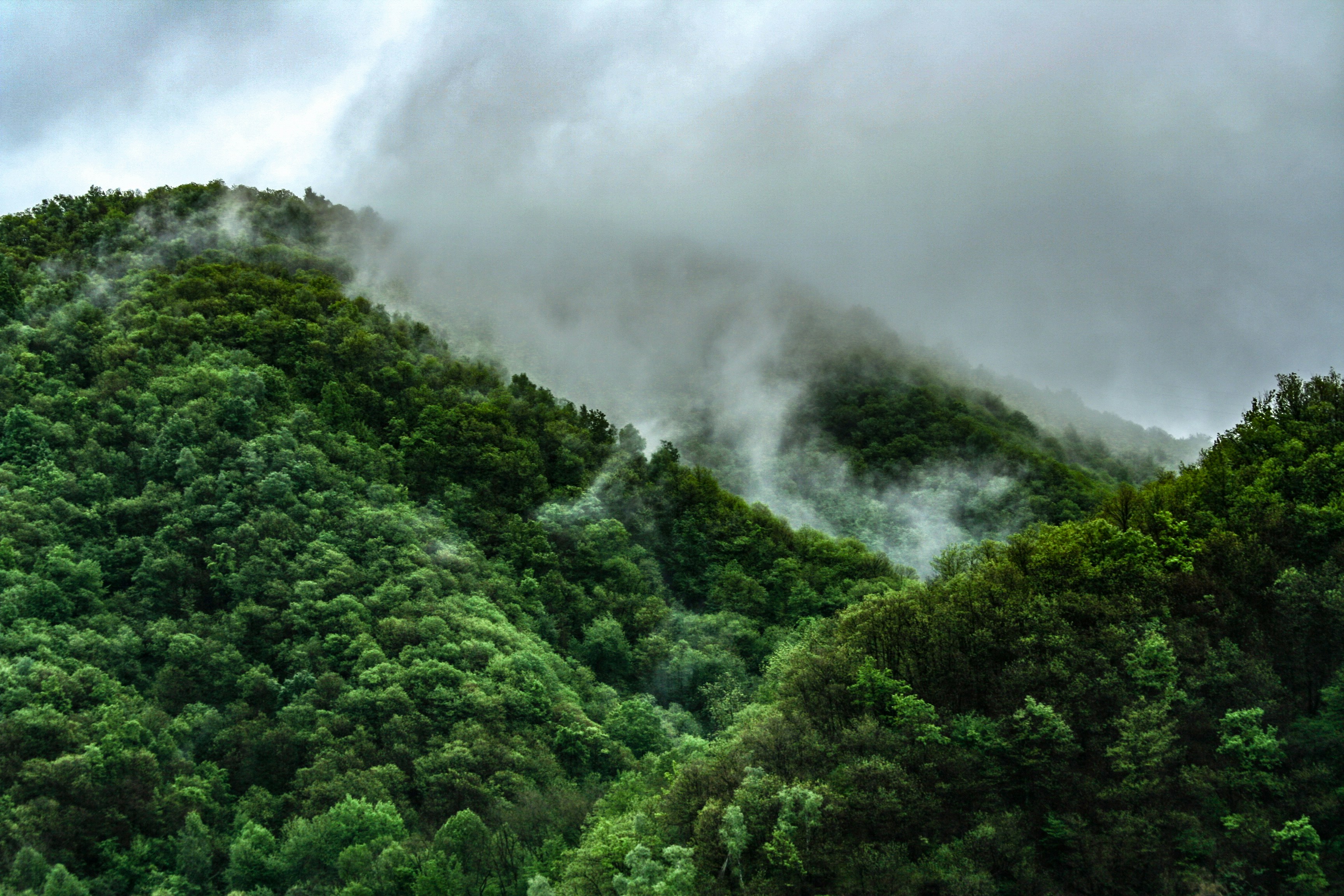 Photo by manuelpisani00