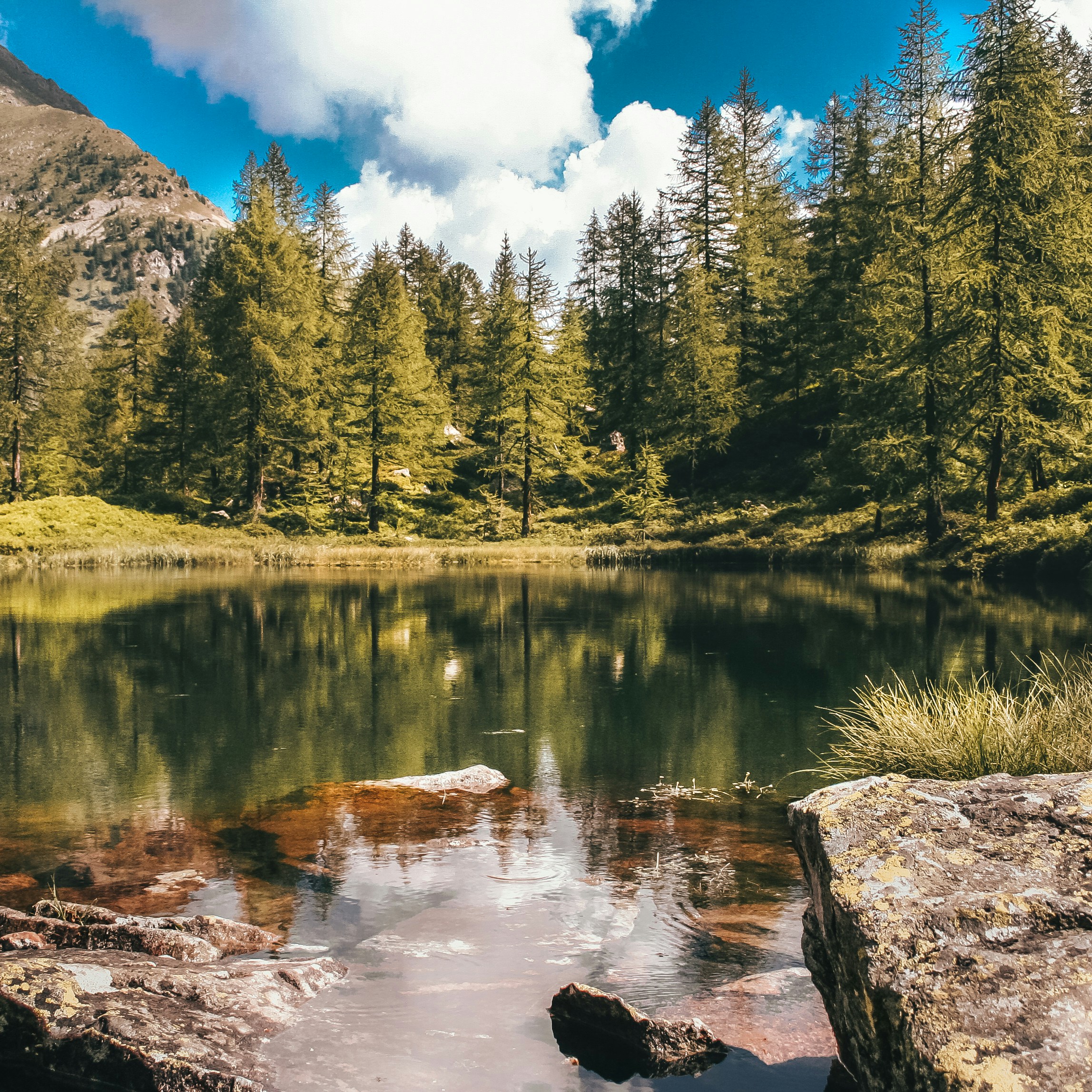 Photo by manuelpisani00