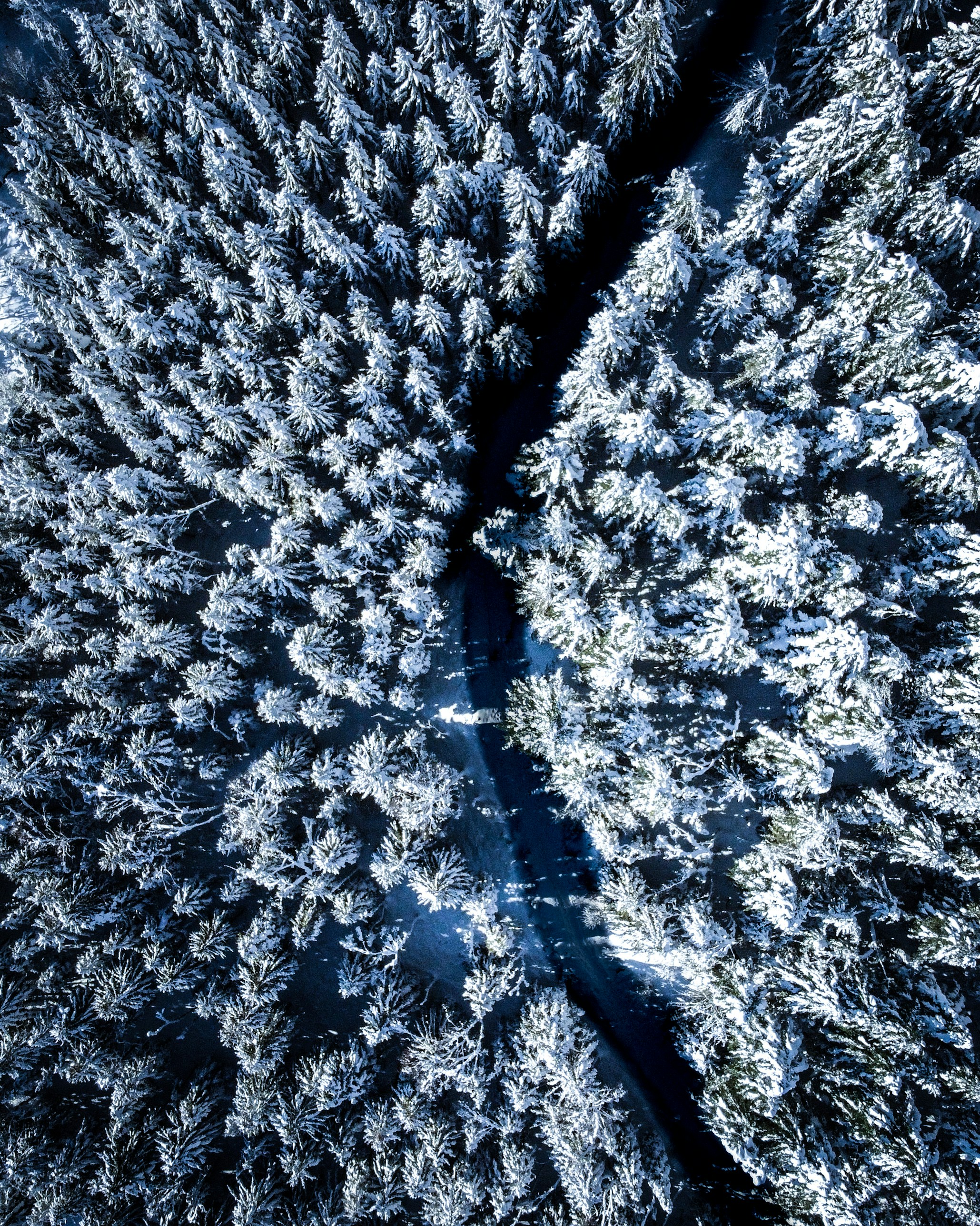 Photo by manuelpisani00