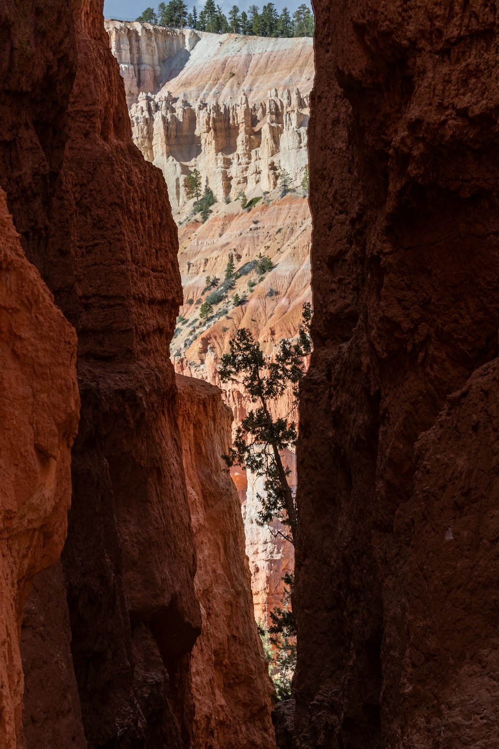 a canyon with a river running through it