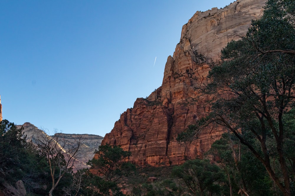 a cliff with trees on it