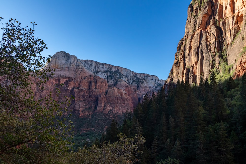 a rocky mountain with trees with Zion National Park in the background
