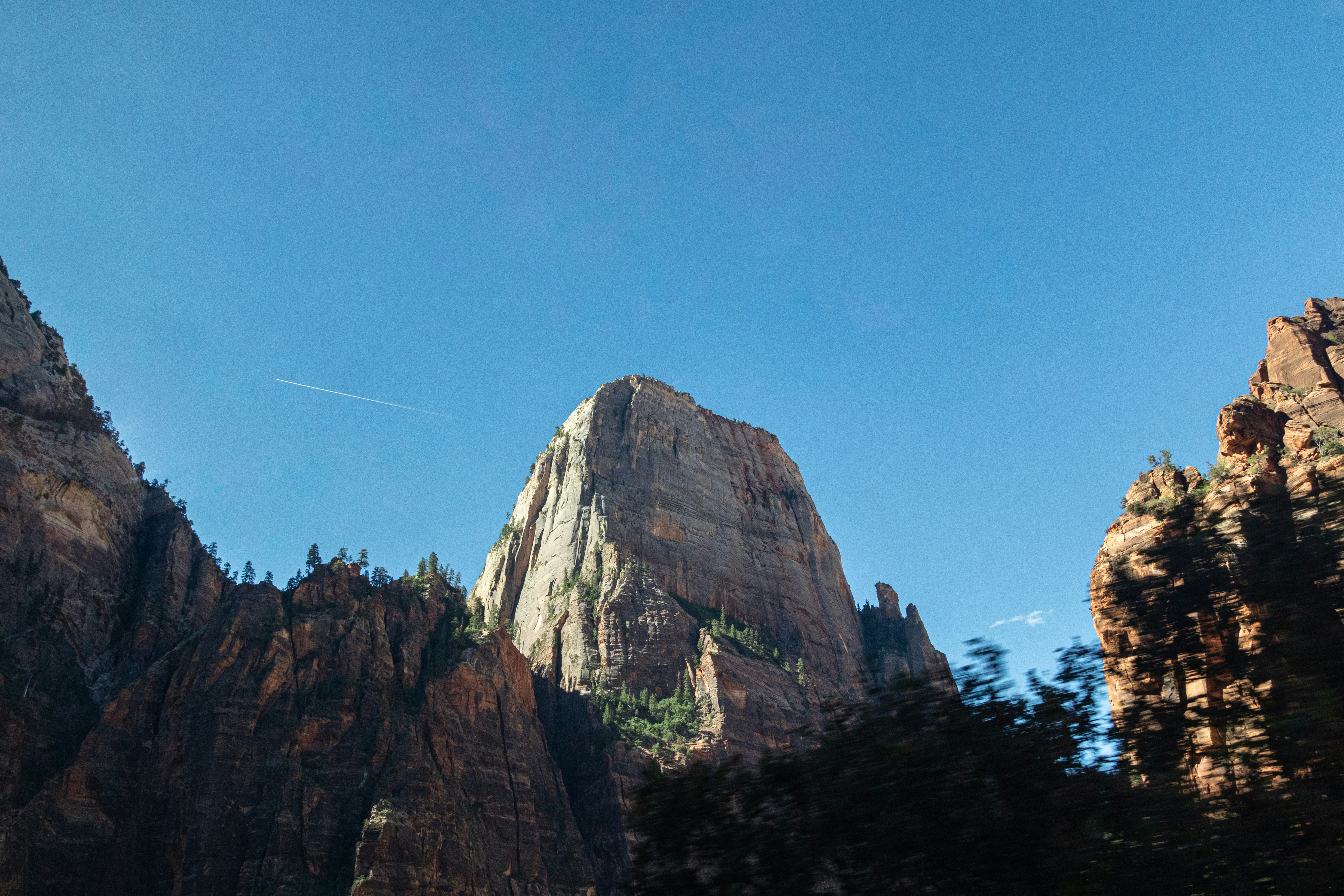 a rocky mountain with trees