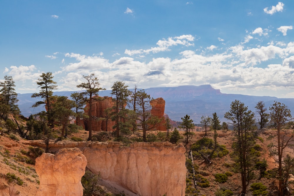 a landscape with trees and rocks with Bryce Canyon National Park in the background