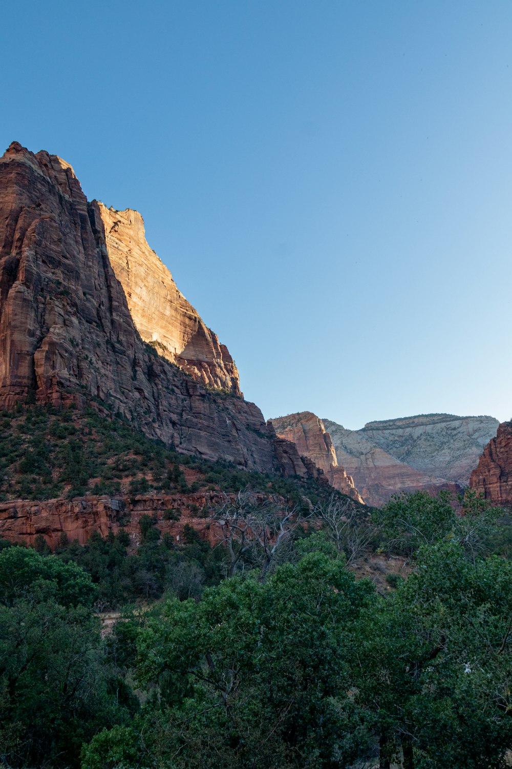 a rocky canyon with trees