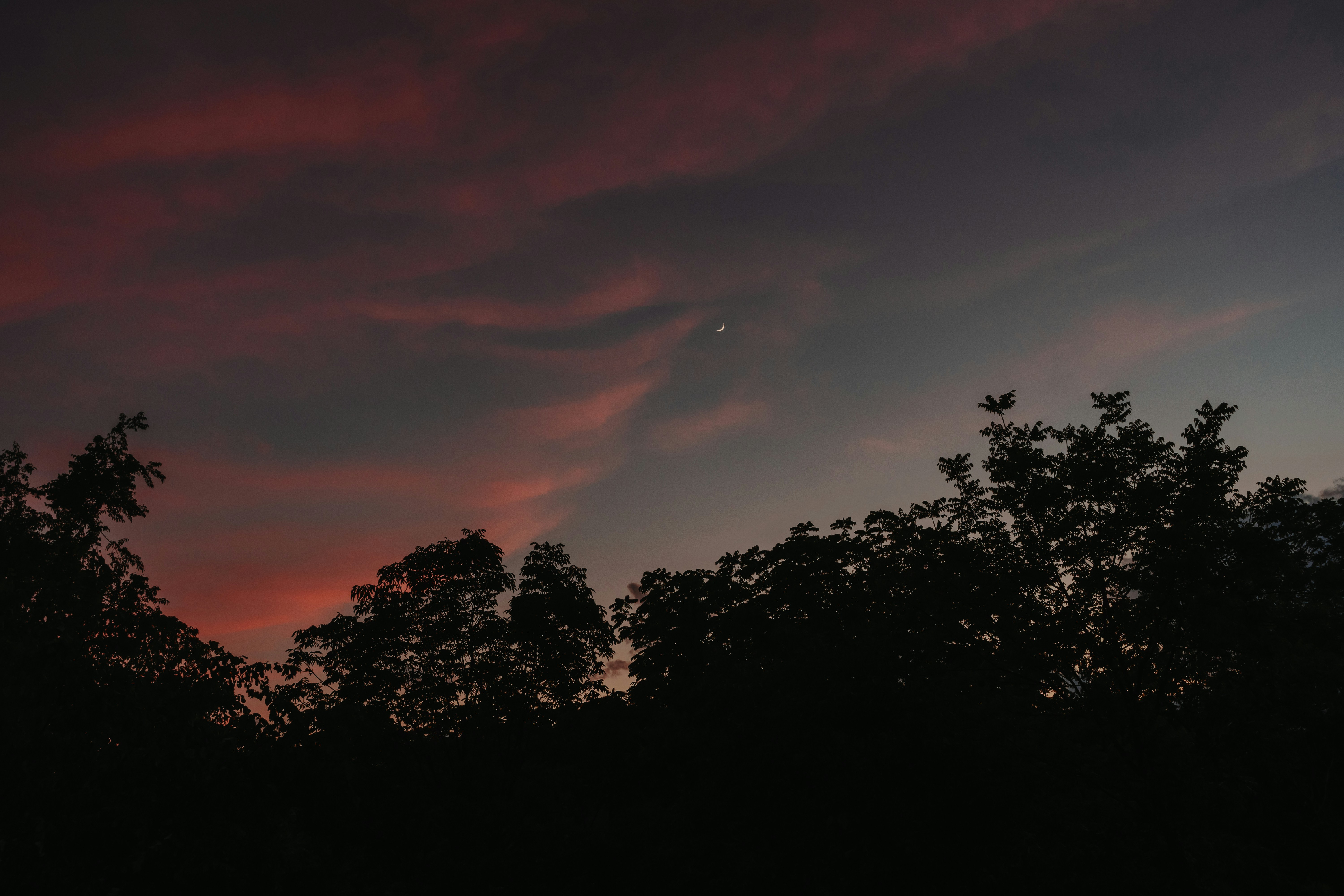 Photo by aditya1702