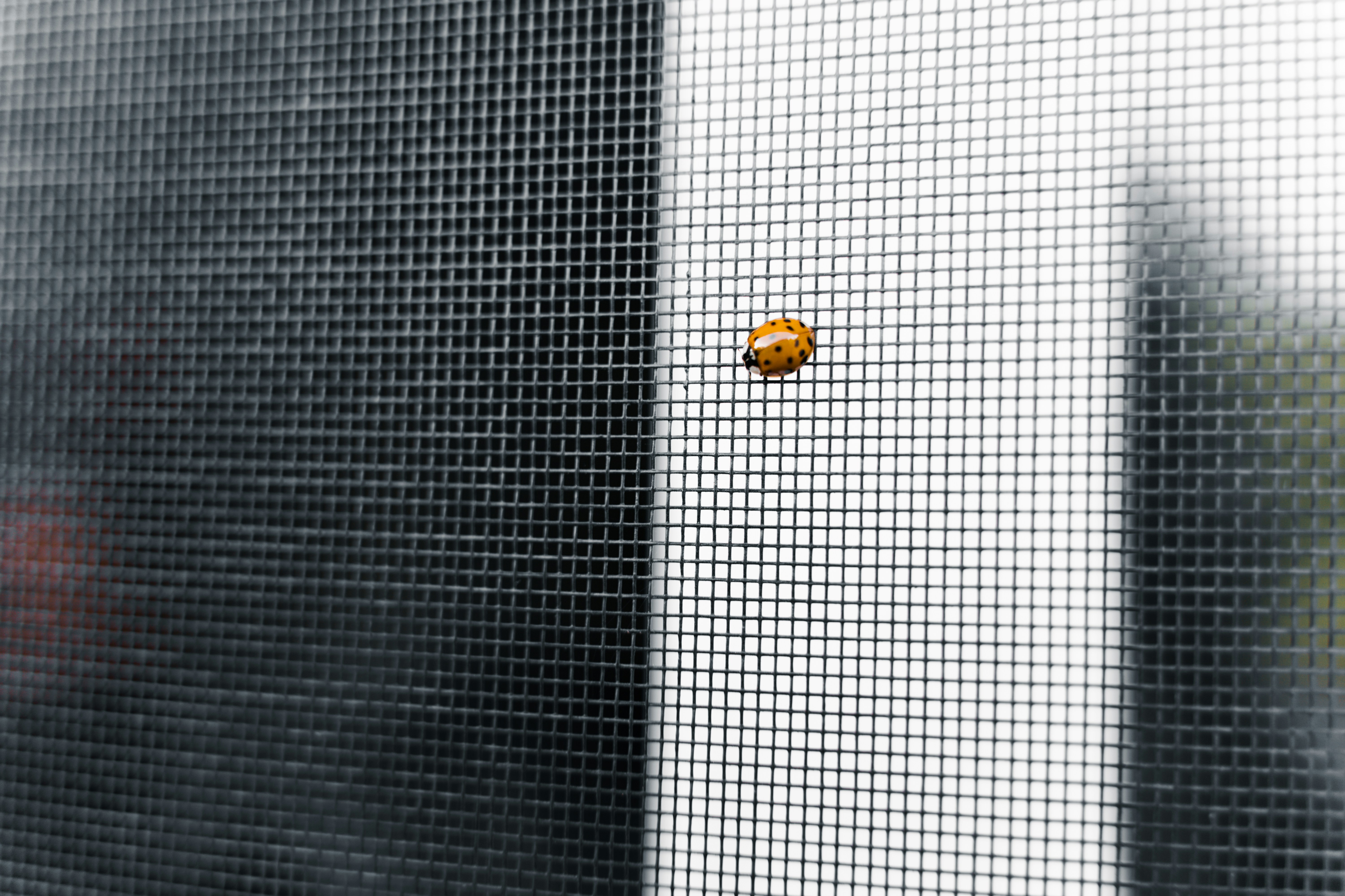 Alternative text for describing the image displayed