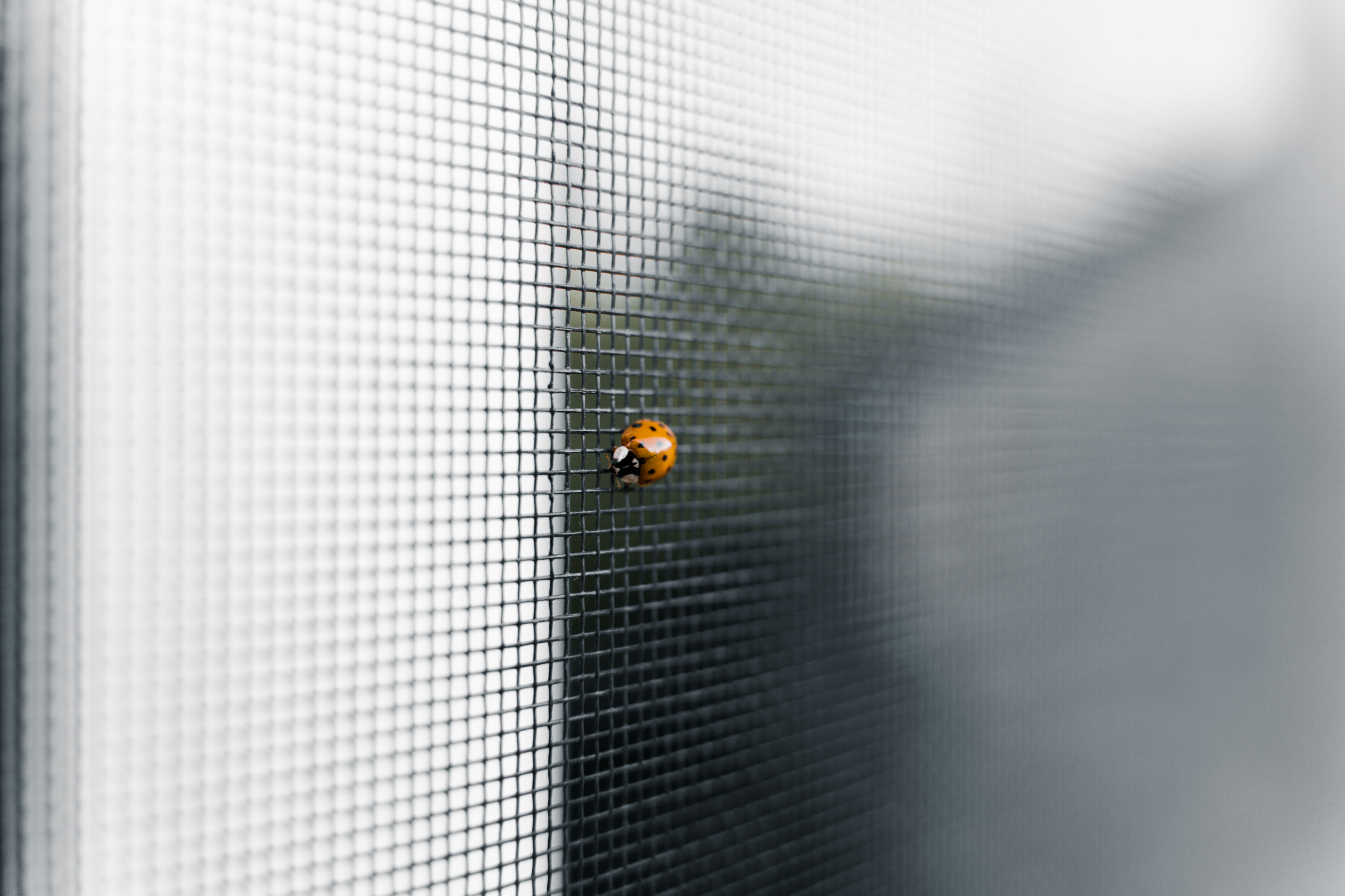 Image de 10 extensions de navigateur indispensables pour booster productivité et vie privée en 2025