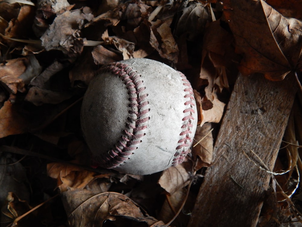 Una pelota de béisbol en las hojas