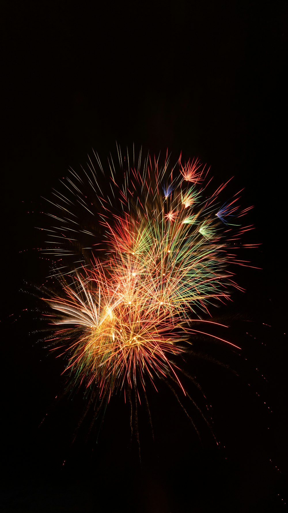 a firework exploding in the night sky