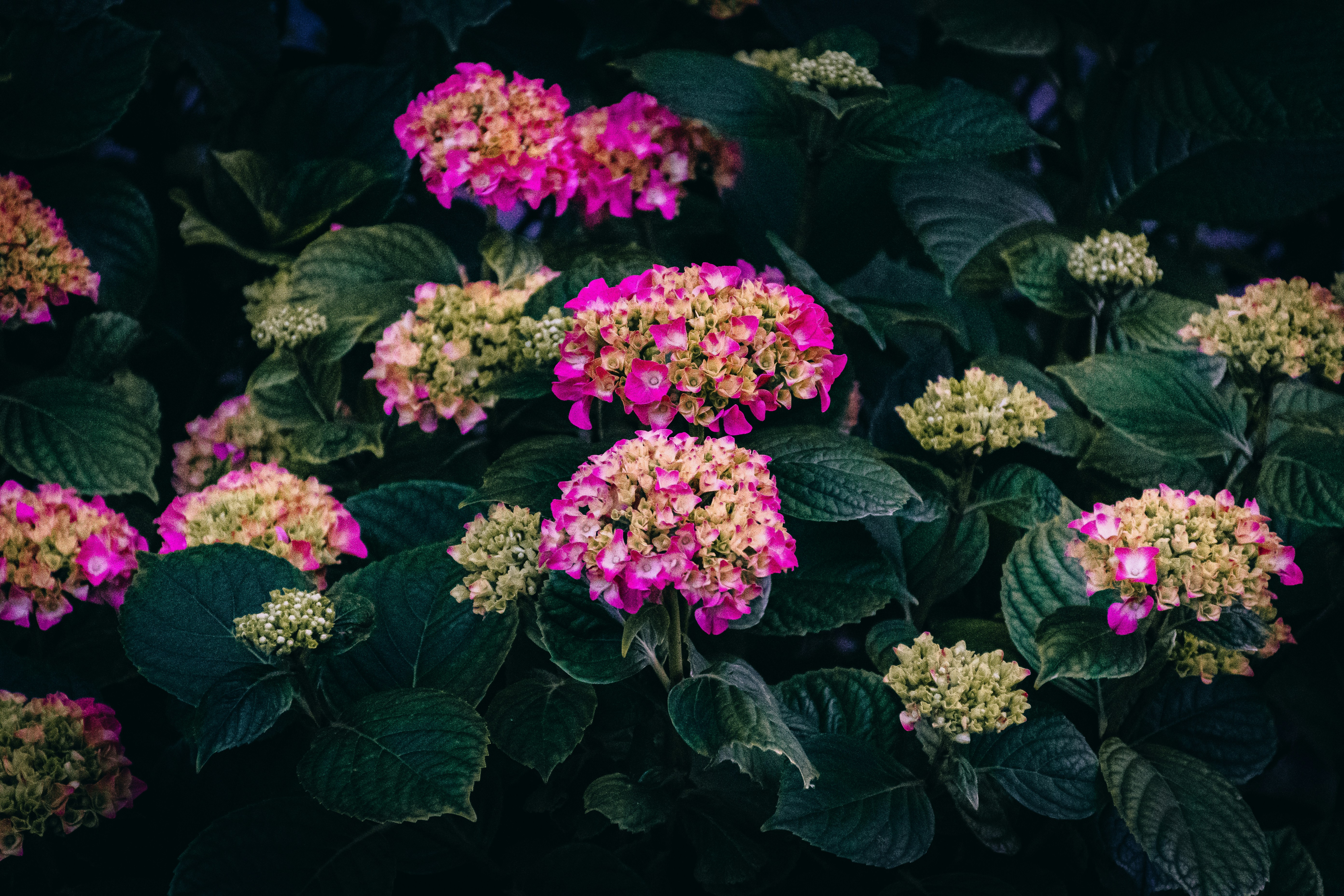 Photo by denisbayer