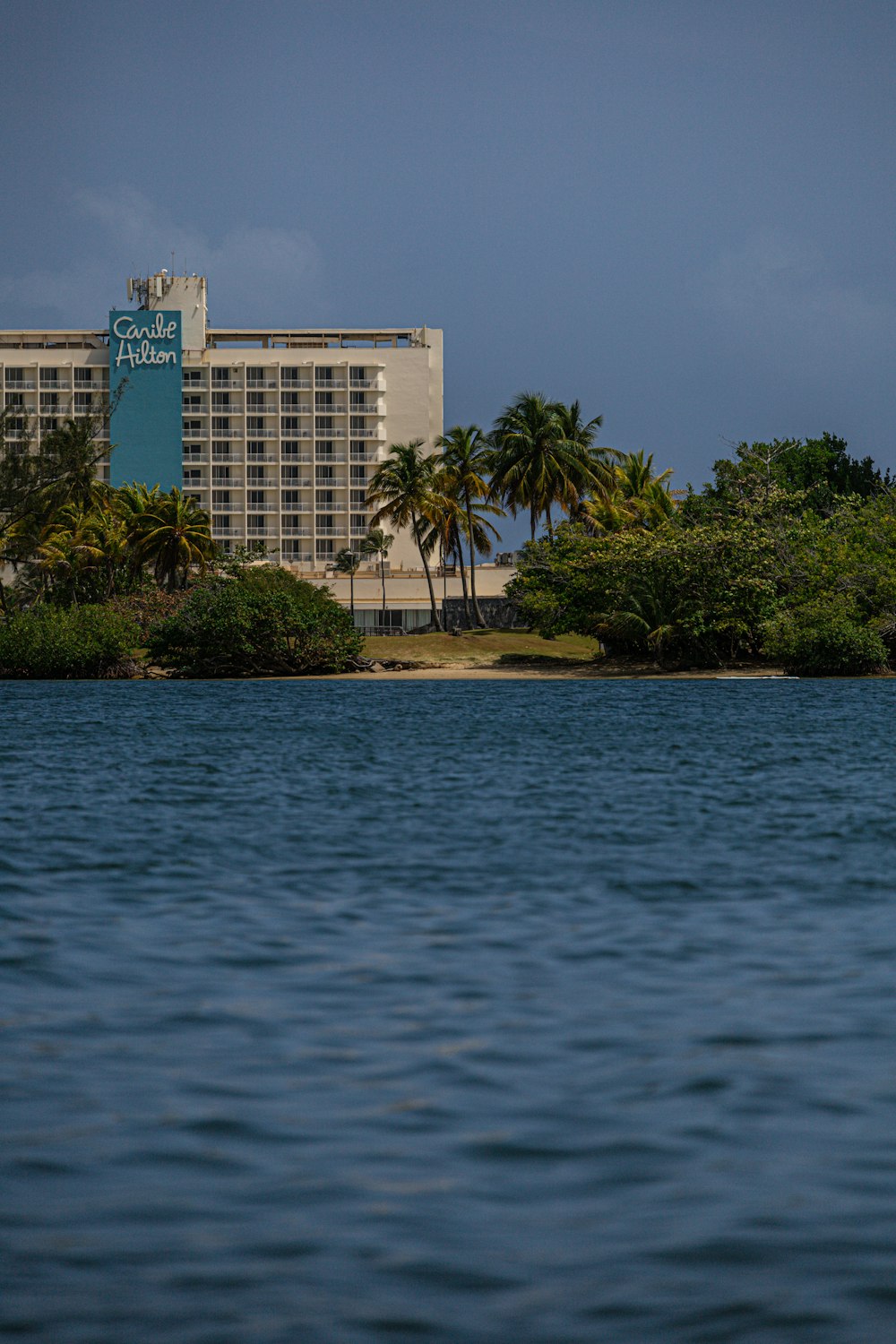 a body of water with trees and buildings in the background