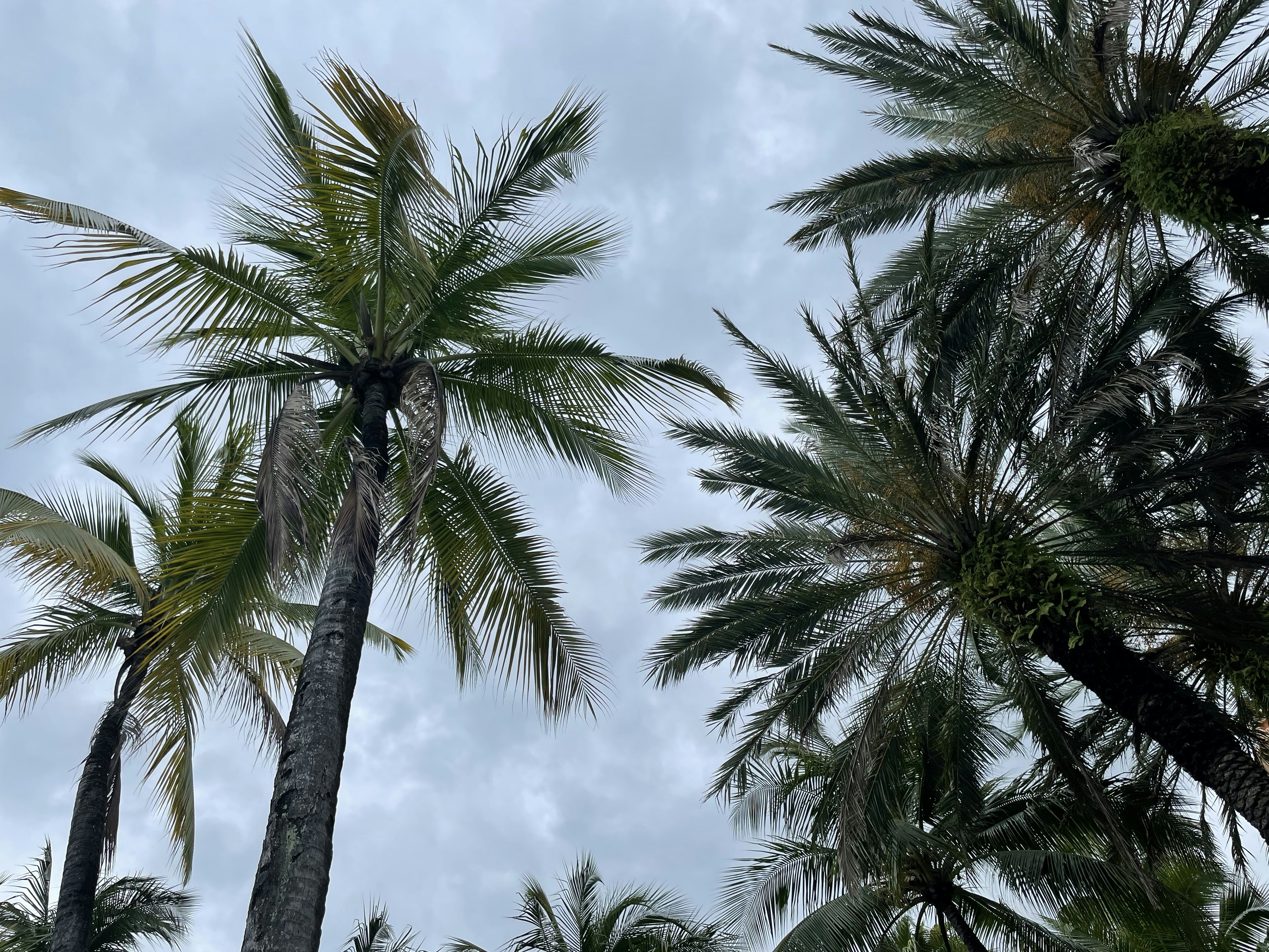 Photo by thecarolinagirl