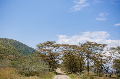 A friendly guide smiling warmly in a sunlit Kenyan savannah landscape.