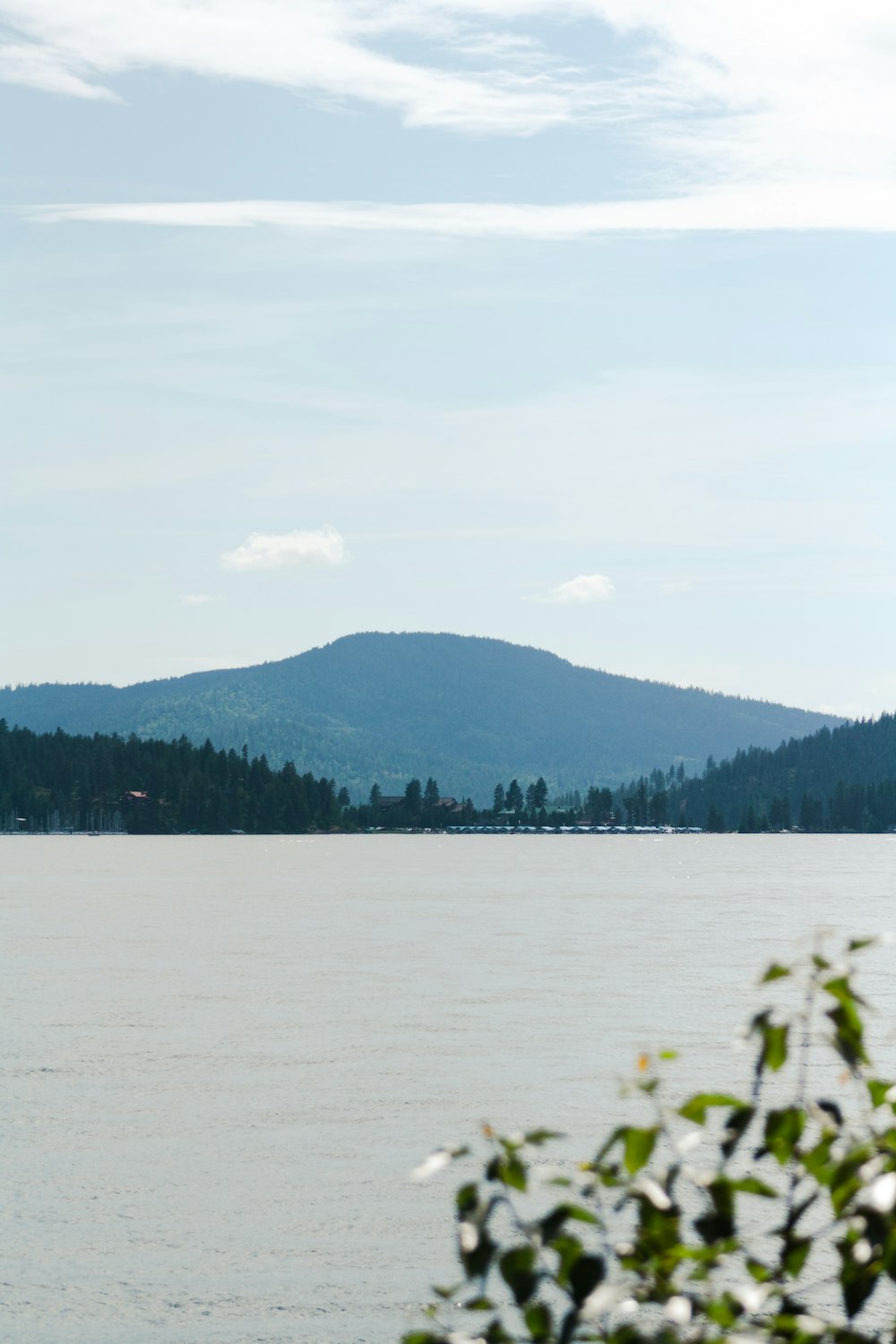 a body of water with trees and mountains in the background