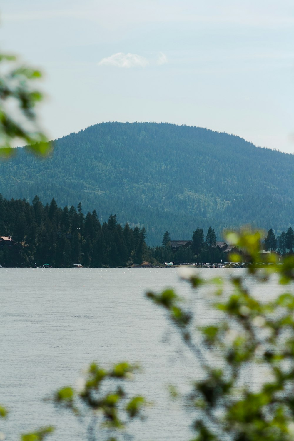 a body of water with trees and a mountain in the background