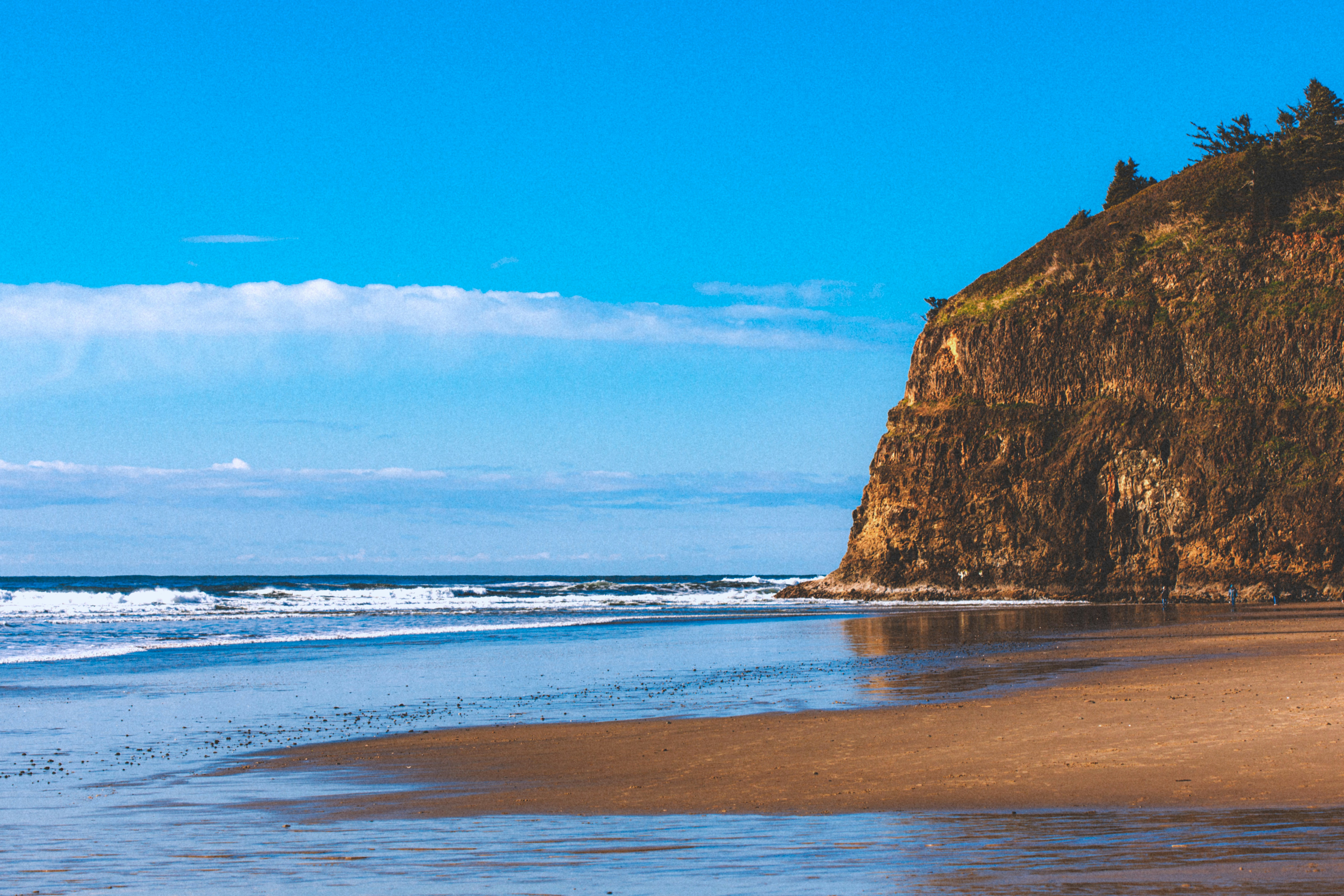 Photo by marsupialpudding