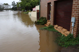 a flooded street with a building and a dog lying on the ground