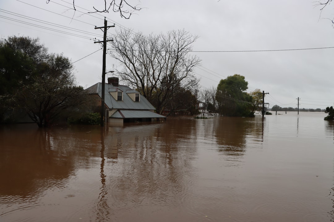 a flooded area with a house, Flooded house at Windsor, Western Sydney, NSW, Australia. July 5, 2022