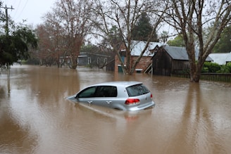 A silver car is partially submerged in floodwaters, surrounded by brown, murky water. Trees with bare branches and buildings with metal roofing are present in the background.