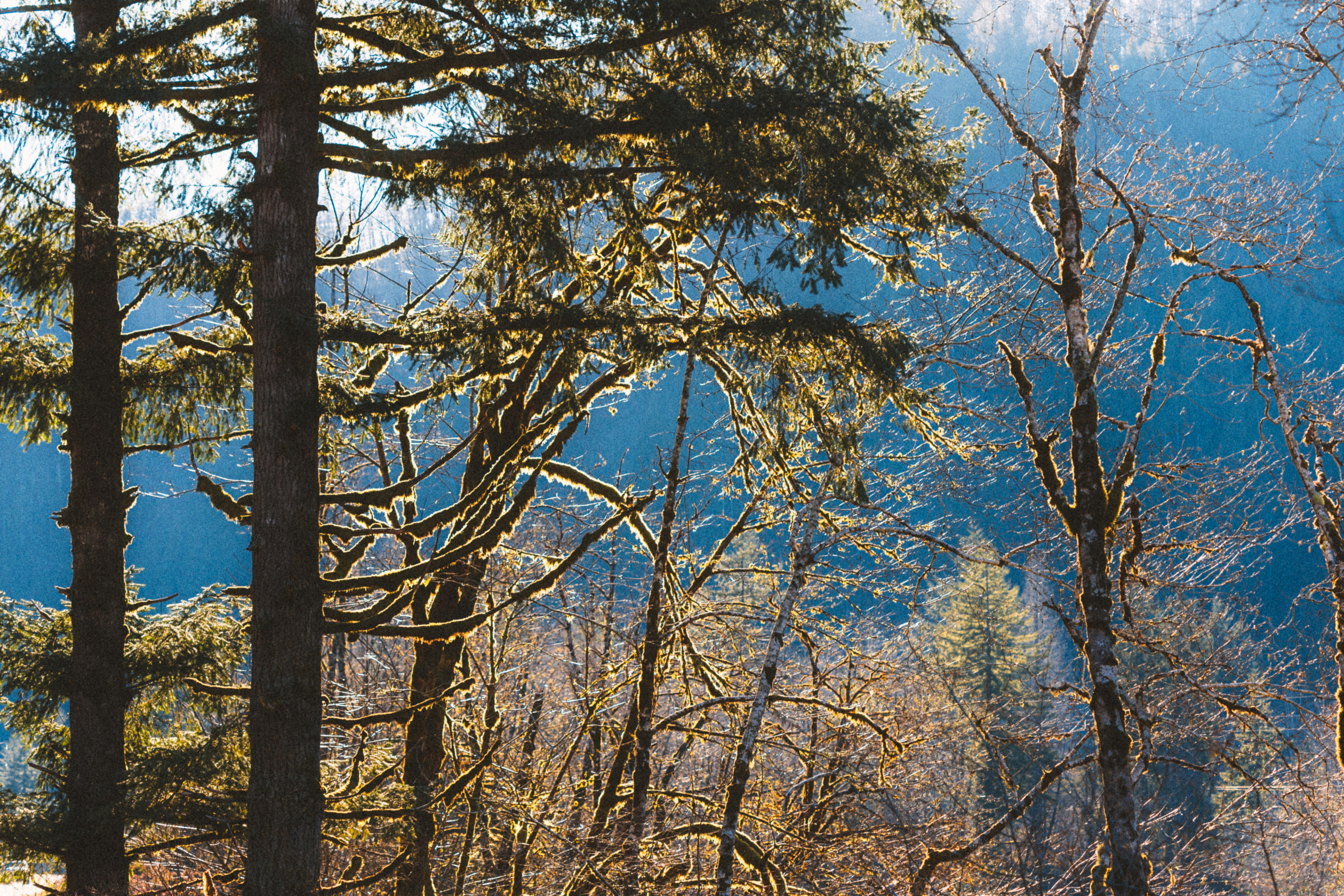 Photo by marsupialpudding