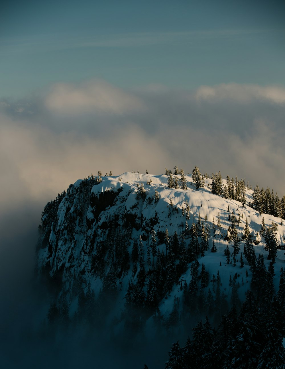 a snowy mountain with trees