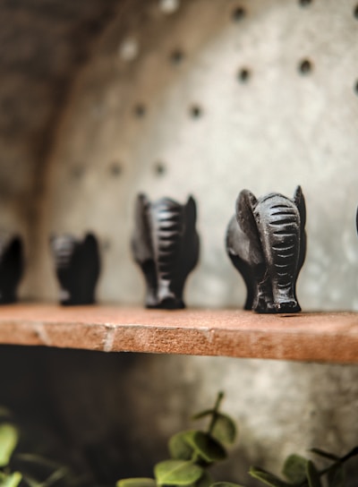 a group of black penguins on a wooden shelf