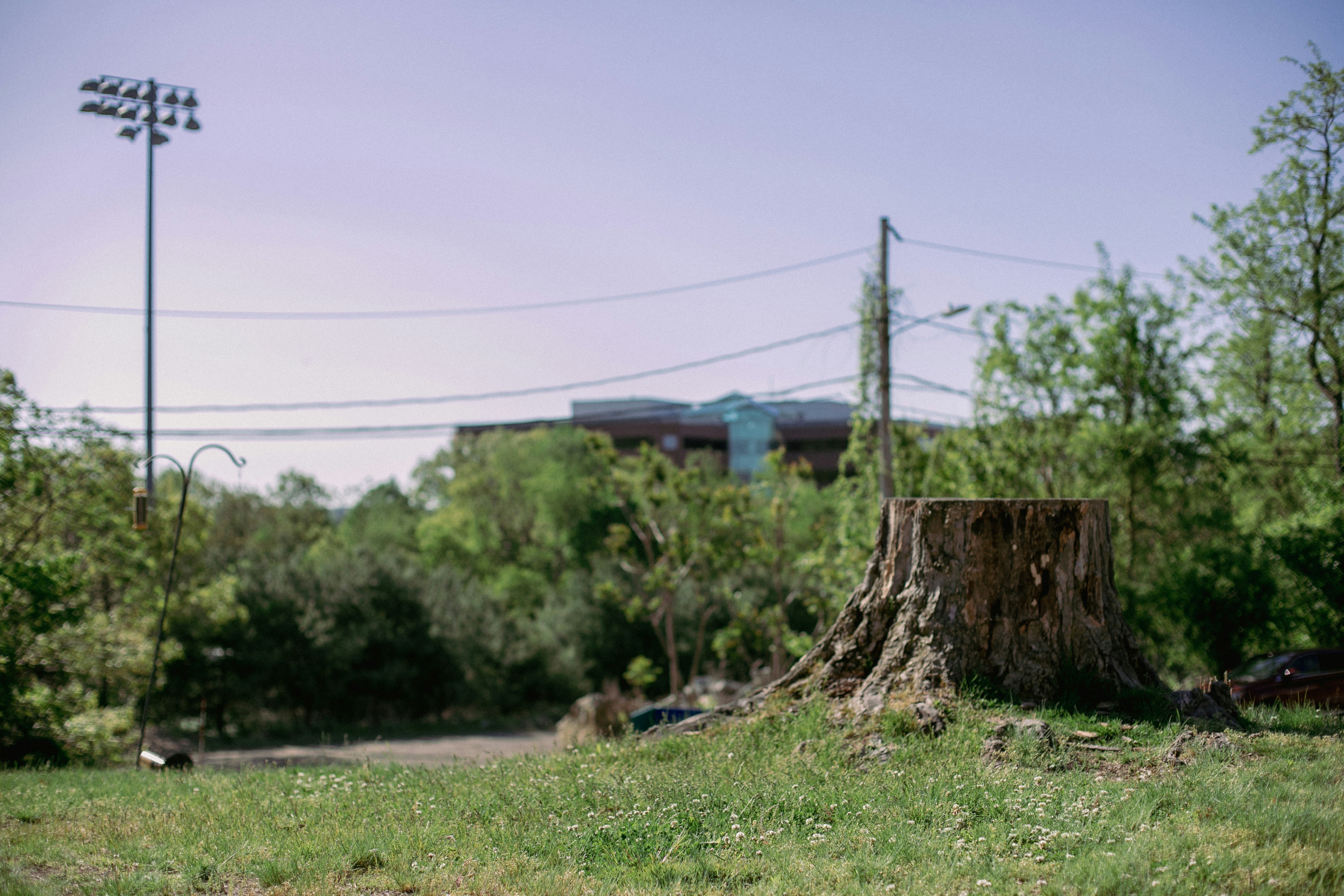 Photo by xiaoyaliang