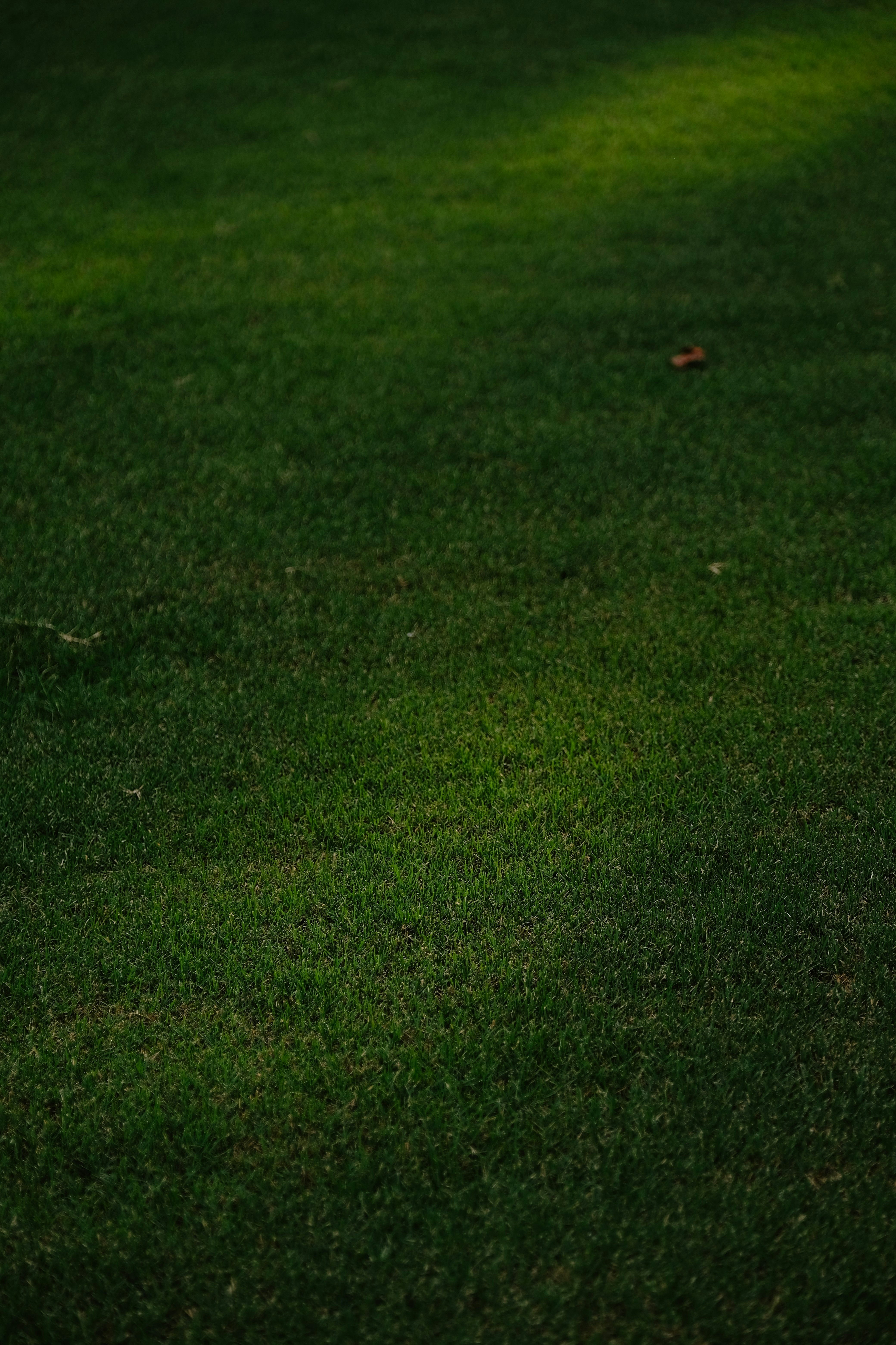 Photo by btcarpenter