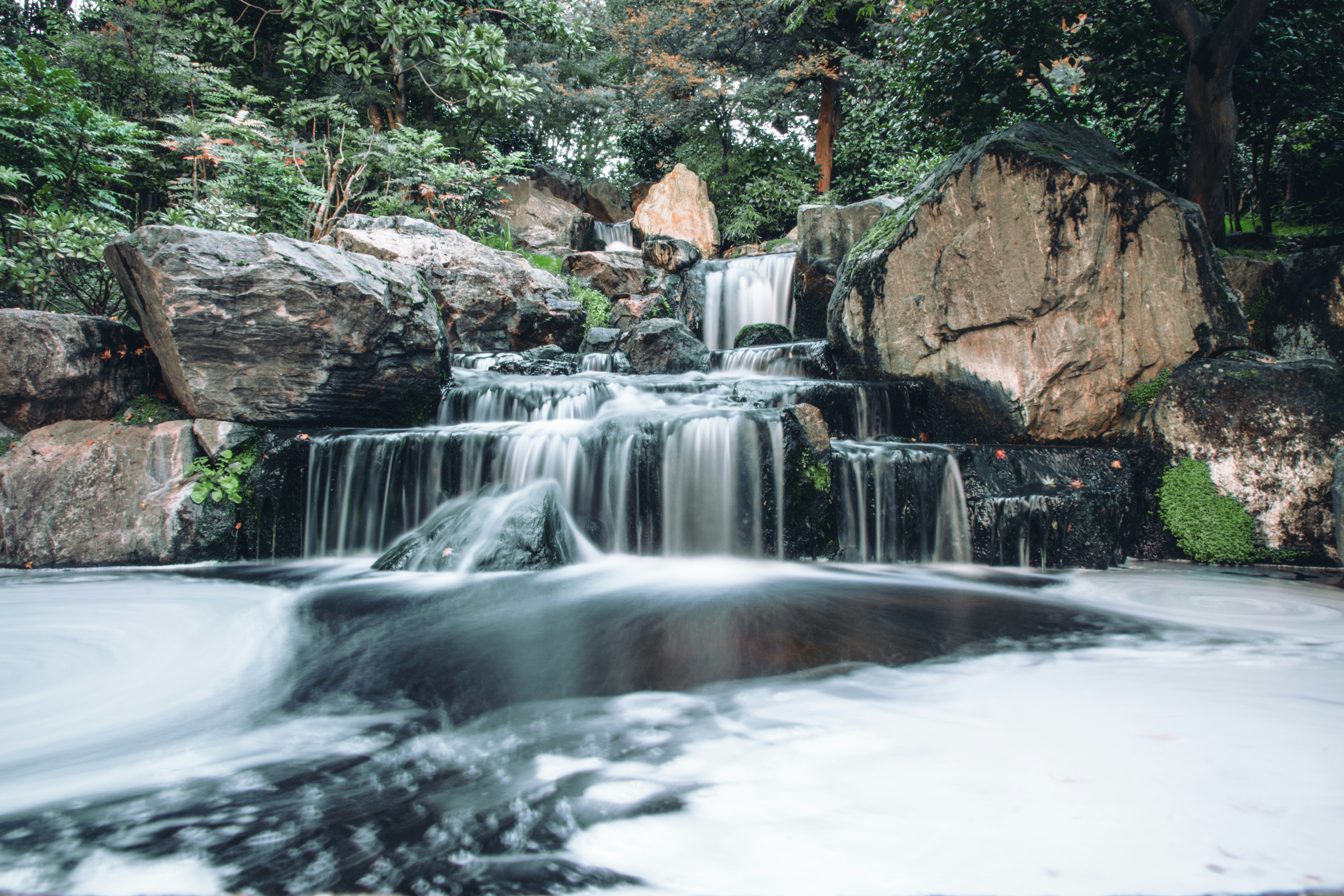 a waterfall in a forest, 