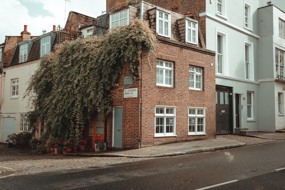 a building with ivy on it