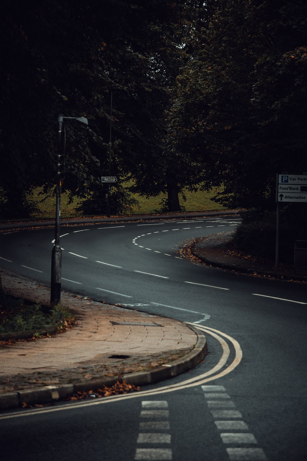 a road with trees on the side