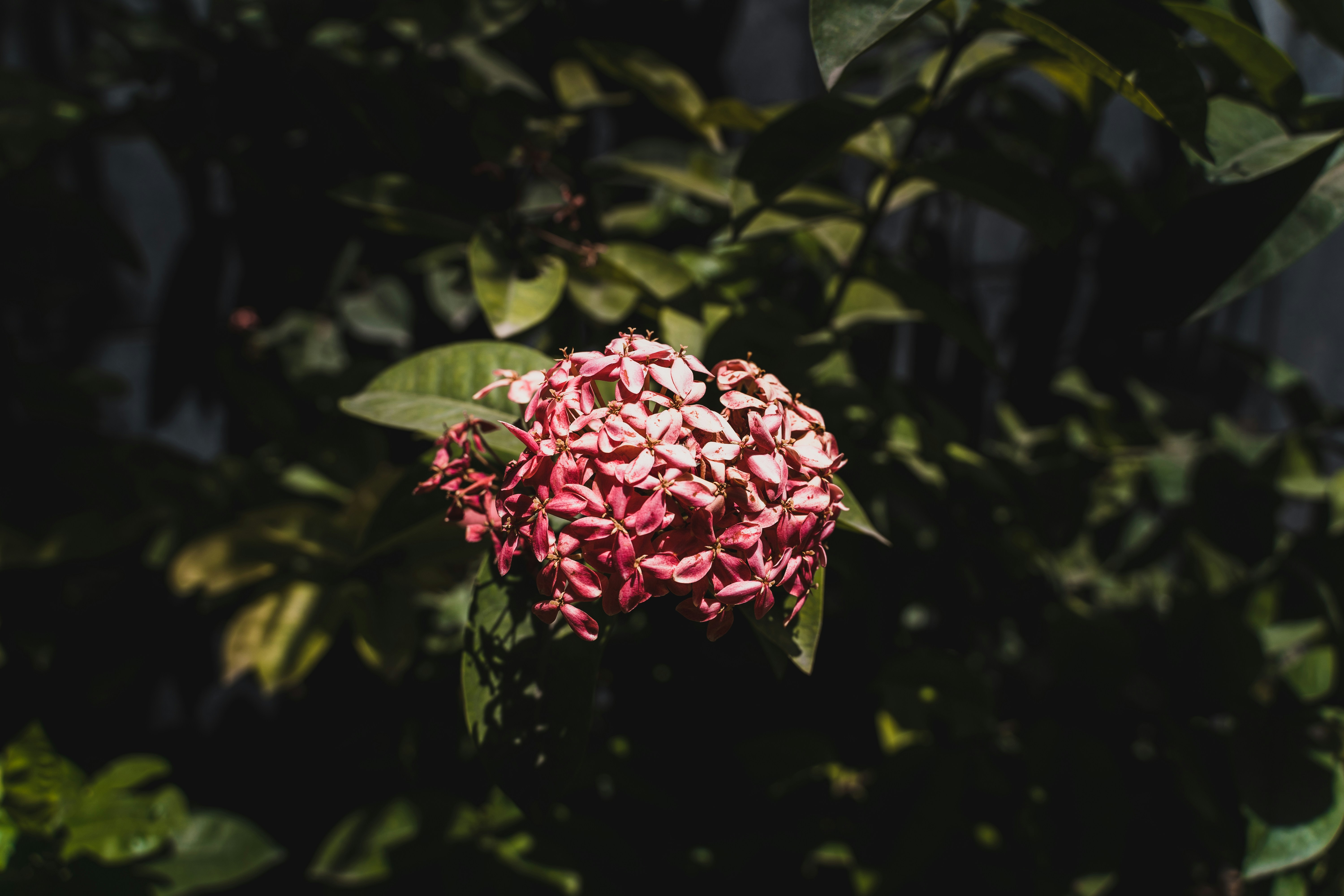 Photo by aditya1702