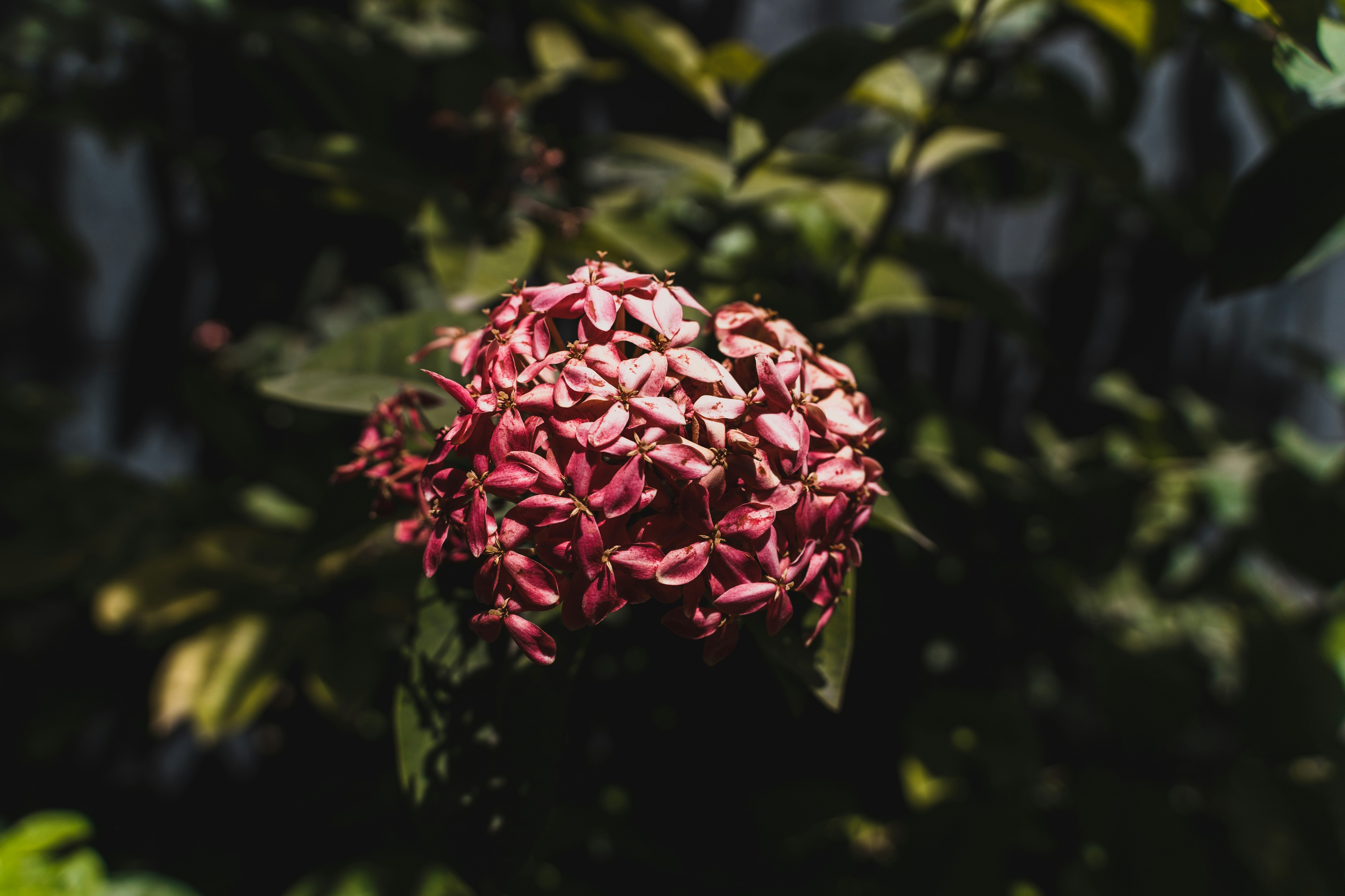 Photo by aditya1702