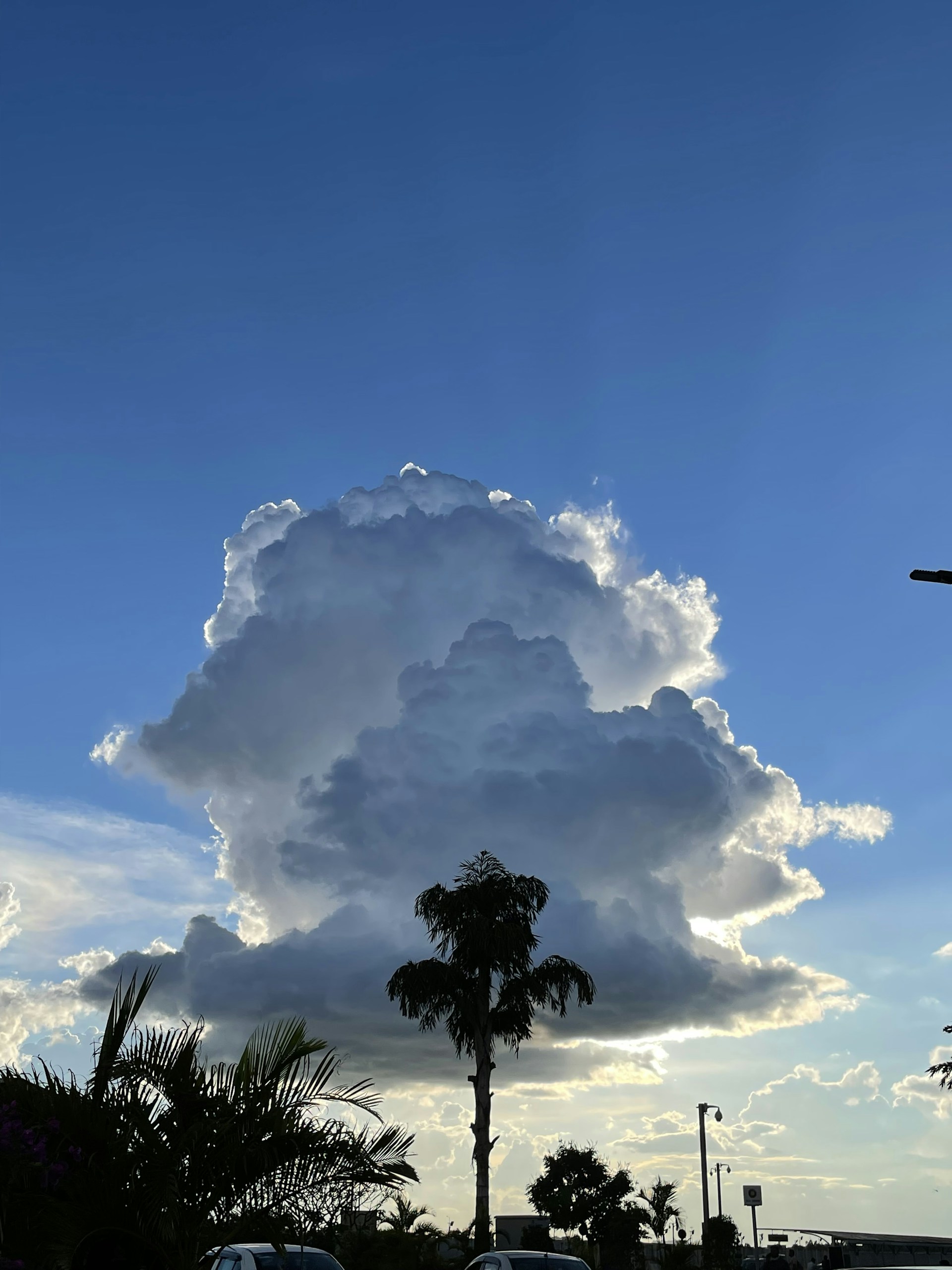 woman wearing yellow long-sleeved dress under white clouds and blue sky during daytime