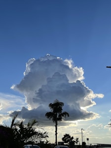 A large, fluffy cloud takes center stage against a vibrant blue sky. There are silhouetted trees, including a palm tree, at the bottom, and some cars are parked nearby. The lighting creates dramatic contrasts between the bright cloud edges and the darker silhouettes.