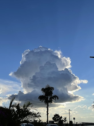 A large, fluffy cloud takes center stage against a vibrant blue sky. There are silhouetted trees, including a palm tree, at the bottom, and some cars are parked nearby. The lighting creates dramatic contrasts between the bright cloud edges and the darker silhouettes.
