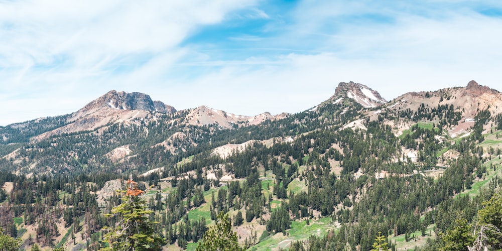 a landscape with trees and mountains