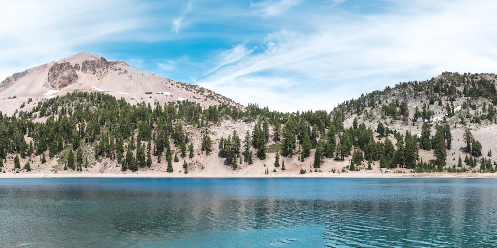 a body of water with trees and mountains in the background