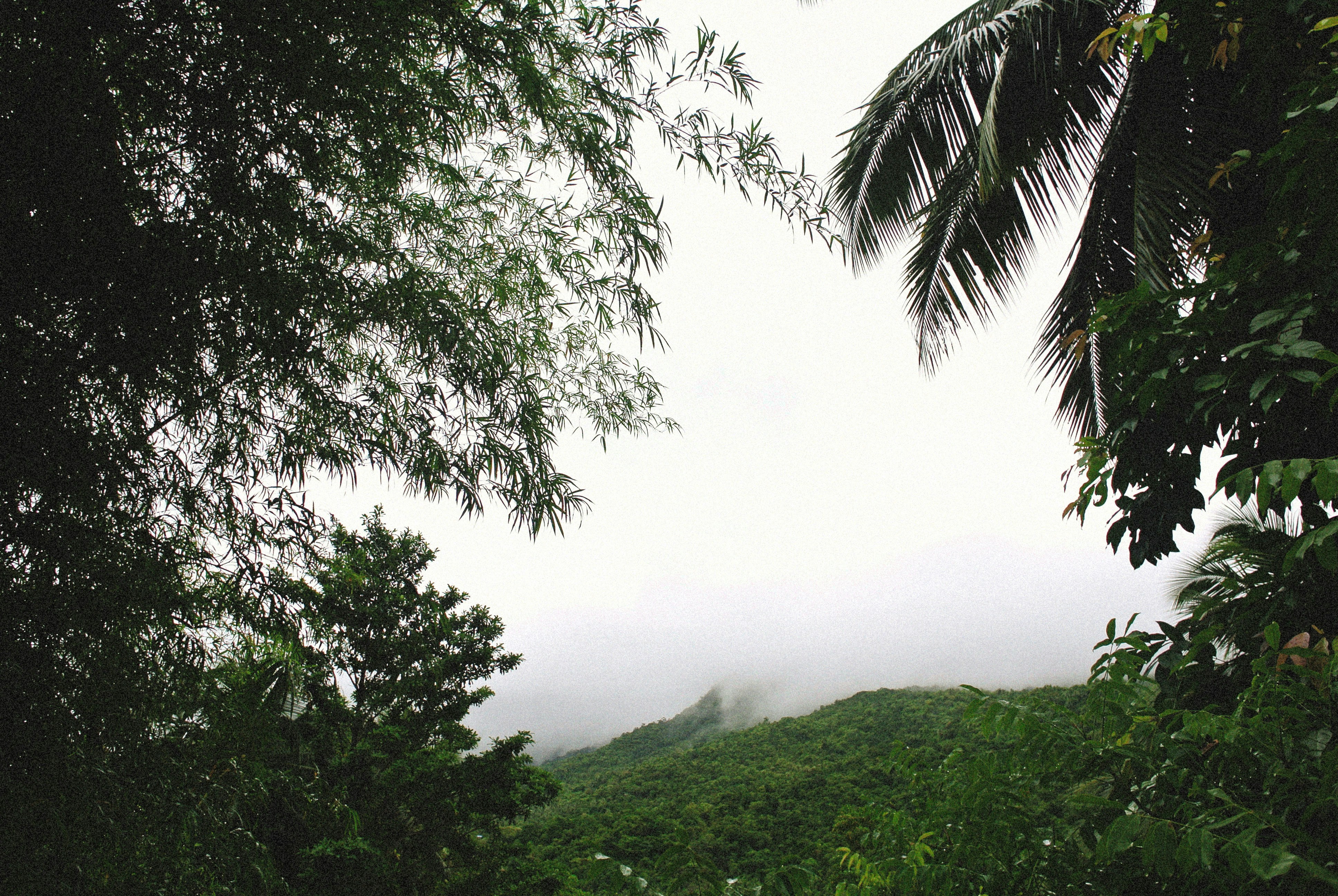 Photo by alexeydemidov