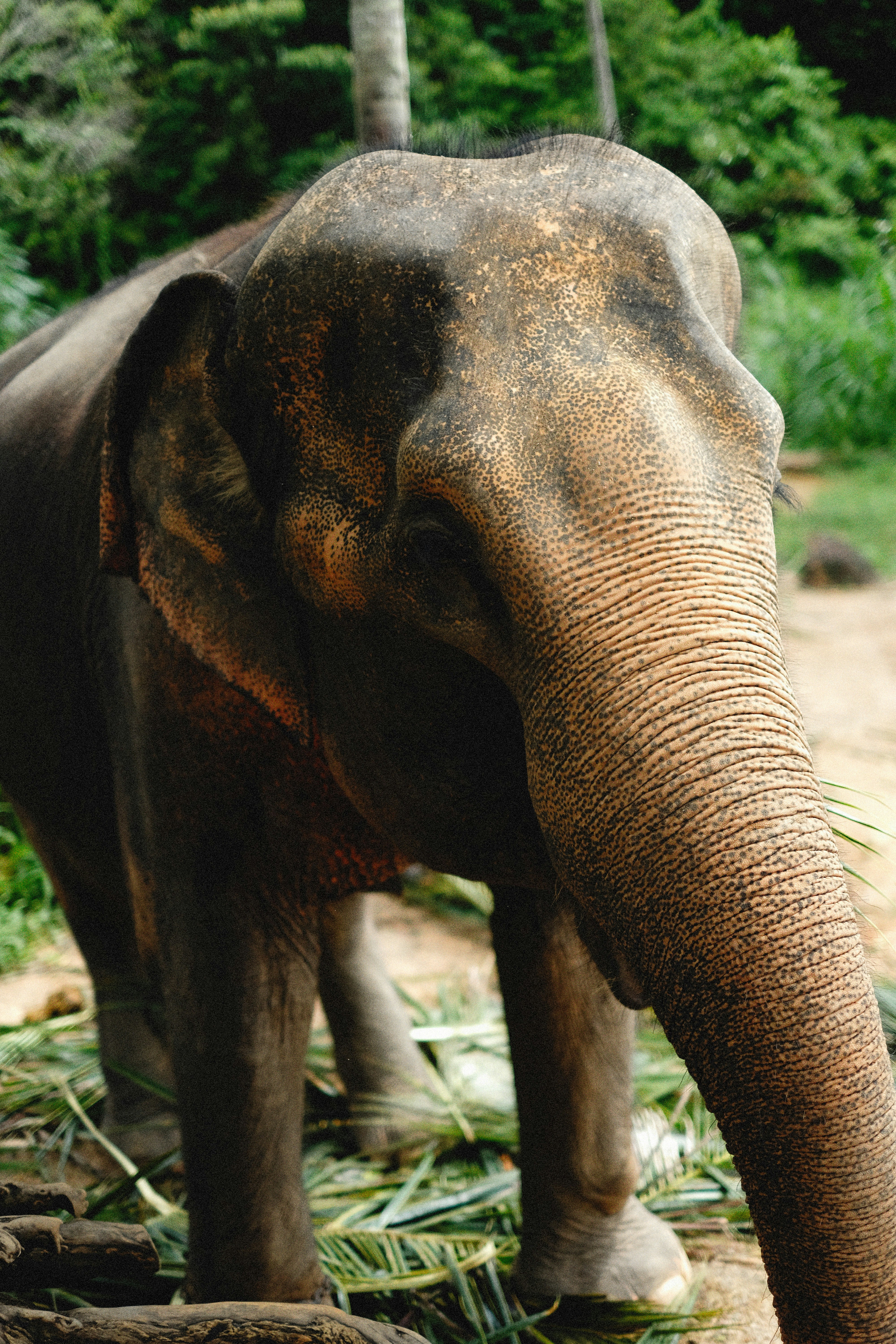 Photo by alexeydemidov