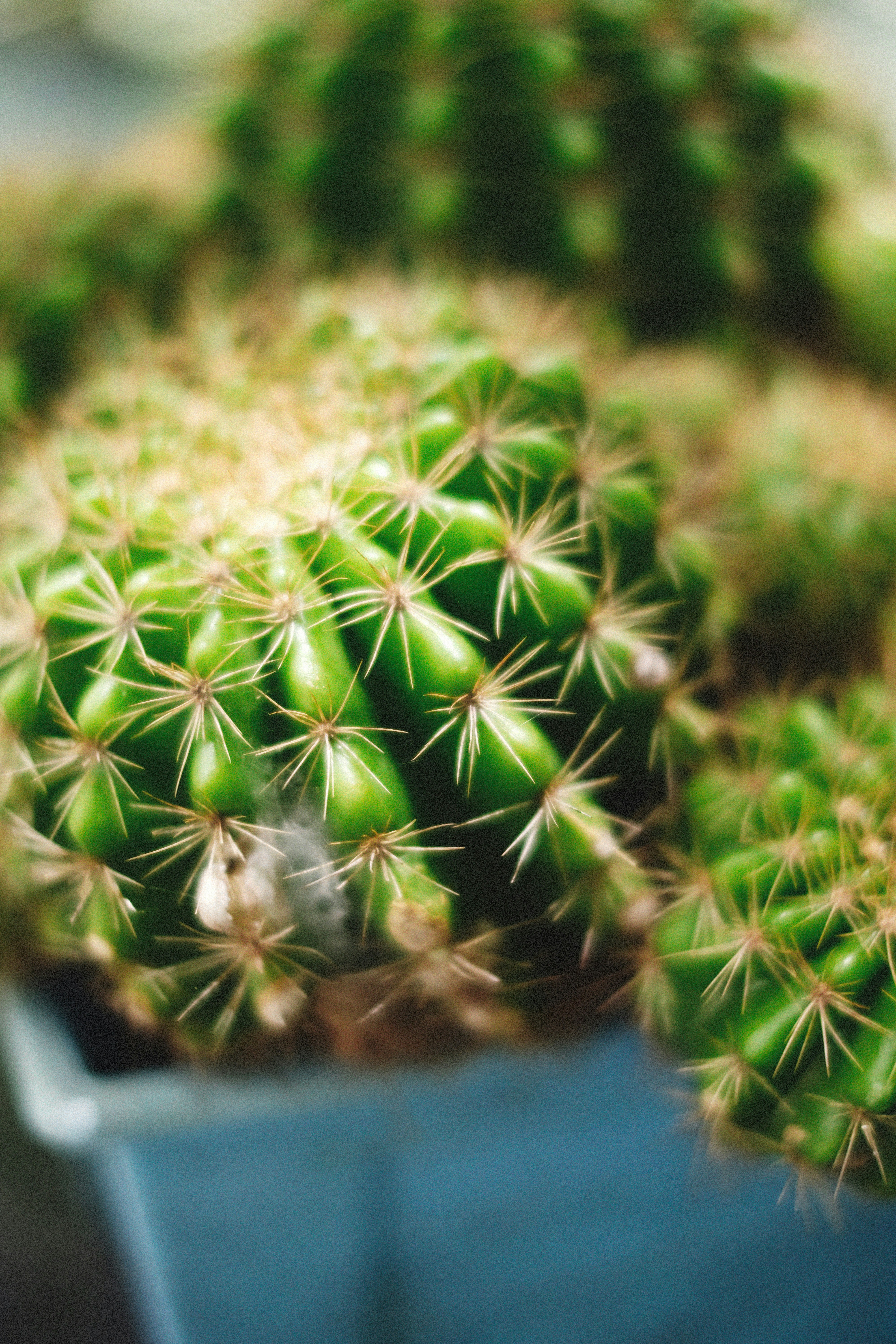 Photo by alexeydemidov