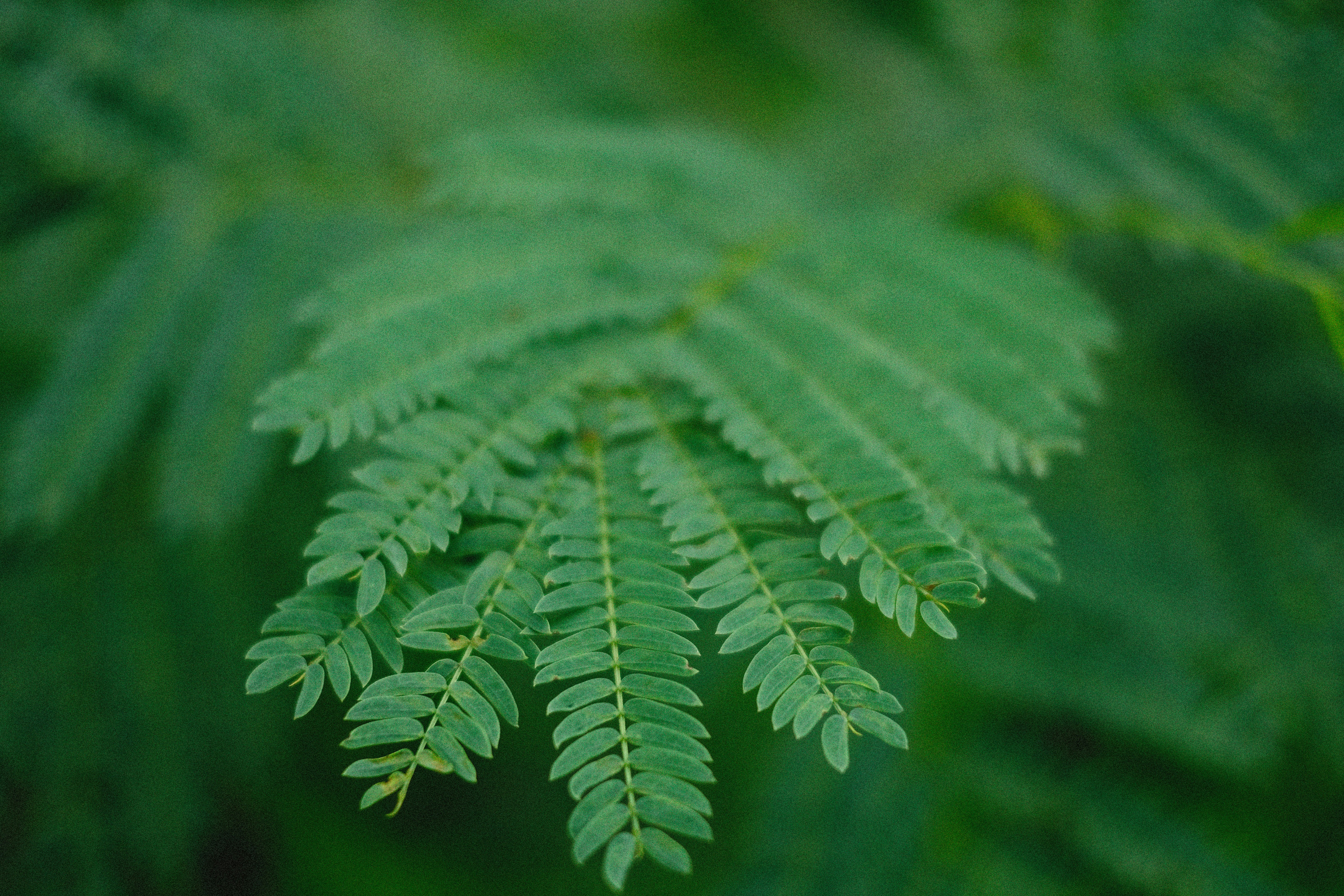 Photo by alexeydemidov